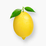 products/10_a249f614-9246-4122-af42-443cd685400f.jpg