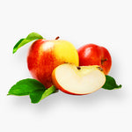 products/11_31e7afb7-4818-4ba2-84a7-b1392adae367.jpg