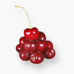 products/18_2e3d9d75-453b-4182-b32b-62d7f0818053.jpg